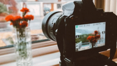 DSLR atau Mirrorless? Kamera Terbaik untuk Kontenmu?