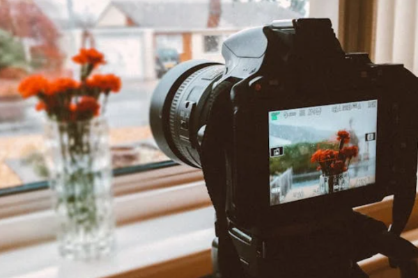 DSLR atau Mirrorless? Kamera Terbaik untuk Kontenmu?