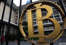 Karier Impian di Bank Indonesia: 50+ Lowongan PKWT & Special Hire 2025