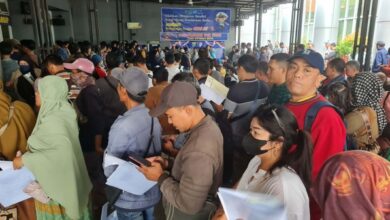 Pemutihan Pajak Kendaraan: Antusiasme Warga Membludak, Petugas Kelelahan