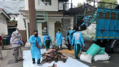 Petugas Gagalkan Penyelundupan 2,9 Ton Daging Babi Hutan Merak