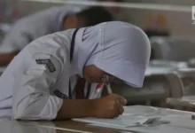 Rahasia Dapatkan PIP 2025: Panduan Cek Online Lengkap