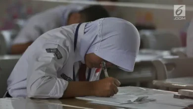 Rahasia Dapatkan PIP 2025: Panduan Cek Online Lengkap