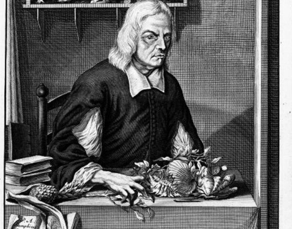 Rumphius: Kisah Bencana Ambon 1674, Saksi Bisu Tsunami Dahsyat
