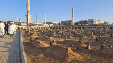 183 Jemaah Haji Meninggal: Penyebab Utama Kematian di Tanah Suci