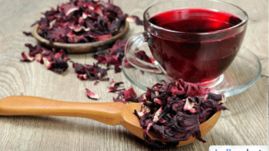 9 Manfaat Ajaib Teh Hibiscus: Sehatkan Tubuh Secara Alami