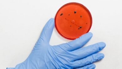 Ancaman Resistensi Antimikroba: Solusi Global untuk Masa Depan Kesehatan Kita