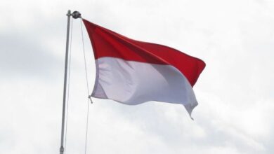 Arkeolog Bongkar 5 Kejanggalan Revisi Sejarah: Fakta Mengejutkan!