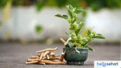 Ashwagandha: 10 Manfaat Ajaib Ginseng India Atasi Stres