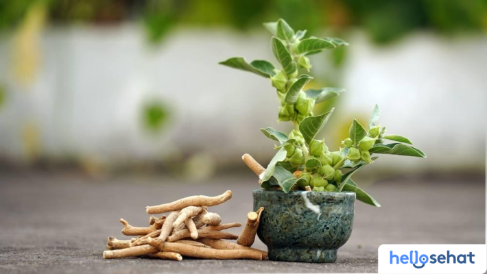 Ashwagandha: 10 Manfaat Ajaib Ginseng India Atasi Stres