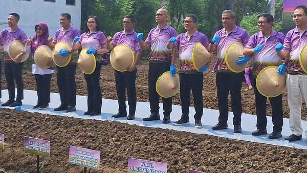 Banten Swasembada Pangan? Mendes, Gubernur, dan Jamintel Tanam Bawang