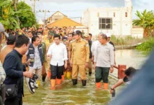 Bencana Banjir Lamongan: Gerbang Timur Terancam Tenggelam?