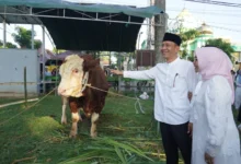 Bupati Bojonegoro: Ikuti Teladan Nabi Ibrahim di Idul Adha