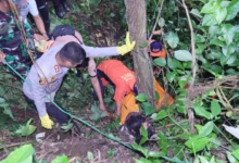 Cucu Buron! Diduga Bunuh Neneknya, Polisi Intensifkan Perburuan