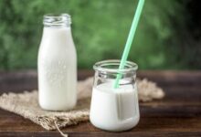 Generasi Muda, Raih Masa Depan Cerah dengan Khasiat Susu: Hari Susu Sedunia 2025