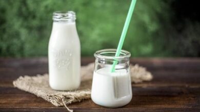 Hari Susu Sedunia 2025: Rahasia Generasi Muda Sehat & Kuat dengan Susu