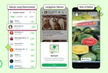 Iklan WhatsApp Meta: Lokasi Tayang & Strategi Jitu