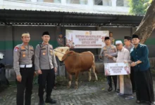 Kapolda Jatim Berbagi Kebahagiaan: Sapi Kurban untuk Ponpes Kediri