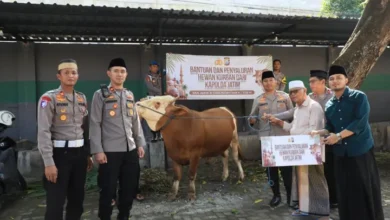 Kapolda Jatim Berbagi Kebahagiaan: Sapi Kurban untuk Ponpes Kediri