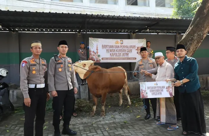 Kapolda Jatim Berbagi Kebahagiaan: Sapi Kurban untuk Ponpes Kediri
