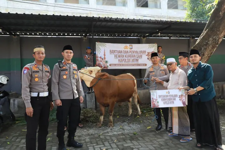 Kapolda Jatim Berbagi Kebahagiaan: Sapi Kurban untuk Ponpes Kediri
