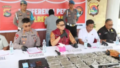 Modus Budidaya Ganja Langka Terungkap, Gegerkan Bima NTB