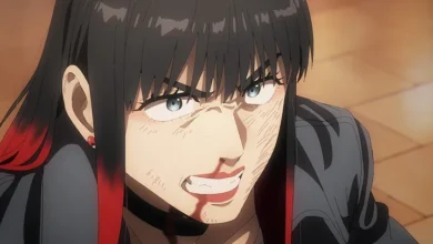 Nonton Streaming Wind Breaker Episode 23 Sub Indo Resmi