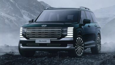Palisade Bermasalah? Pemilik Gugat Hyundai, Simak Masalahnya!