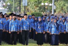 Pensiun ASN Diperpanjang? Ancaman Regenerasi Birokrasi!