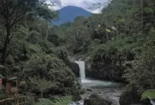 Pesona Curug Bayan Baturaden: Petualangan Wisata Terbaru Purwokerto