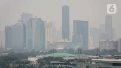 Polusi Udara Jabodetabek Memburuk: Langkah KLHK Atasi Krisis?