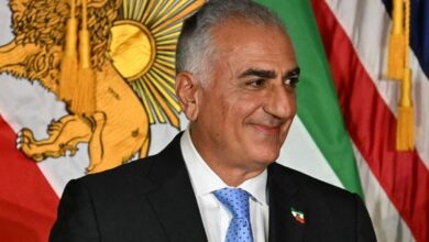Reza Pahlavi: Pemimpin Transisi Iran? Aksi Jalanan Memanas