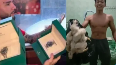 Rolex vs Ayam Tiren: Realita Pahit Kesenjangan Atlet Indonesia?