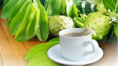 Sirsak: Rahasia Kesehatan Luar Biasa ala dr. Zaidul Akbar