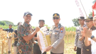 TNI-Polri Panen Raya Jagung Bojonegoro: Sinergi Hebat untuk Negeri