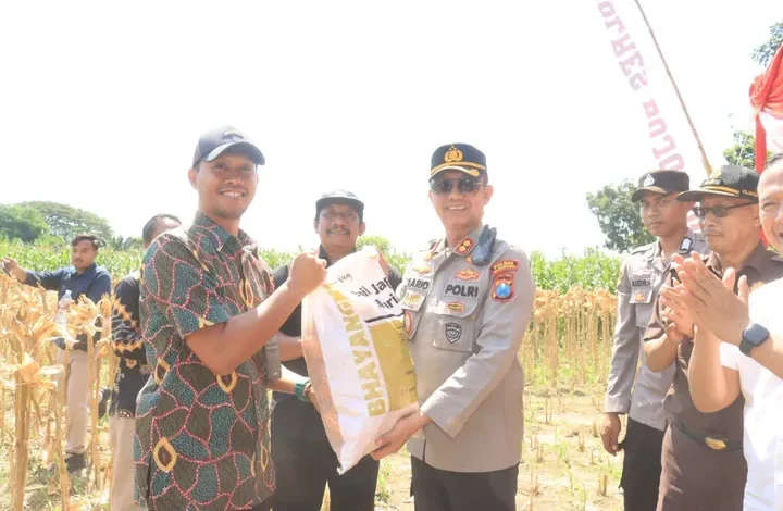 TNI-Polri Panen Raya Jagung Bojonegoro: Sinergi Hebat untuk Negeri