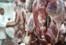 Tips Ampuh! Awetkan Daging Kurban Idul Adha Higienis & Praktis