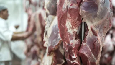 Tips Ampuh! Awetkan Daging Kurban Idul Adha Higienis & Praktis