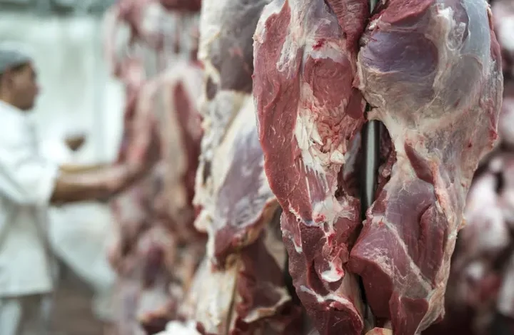 Tips Ampuh! Awetkan Daging Kurban Idul Adha Higienis & Praktis